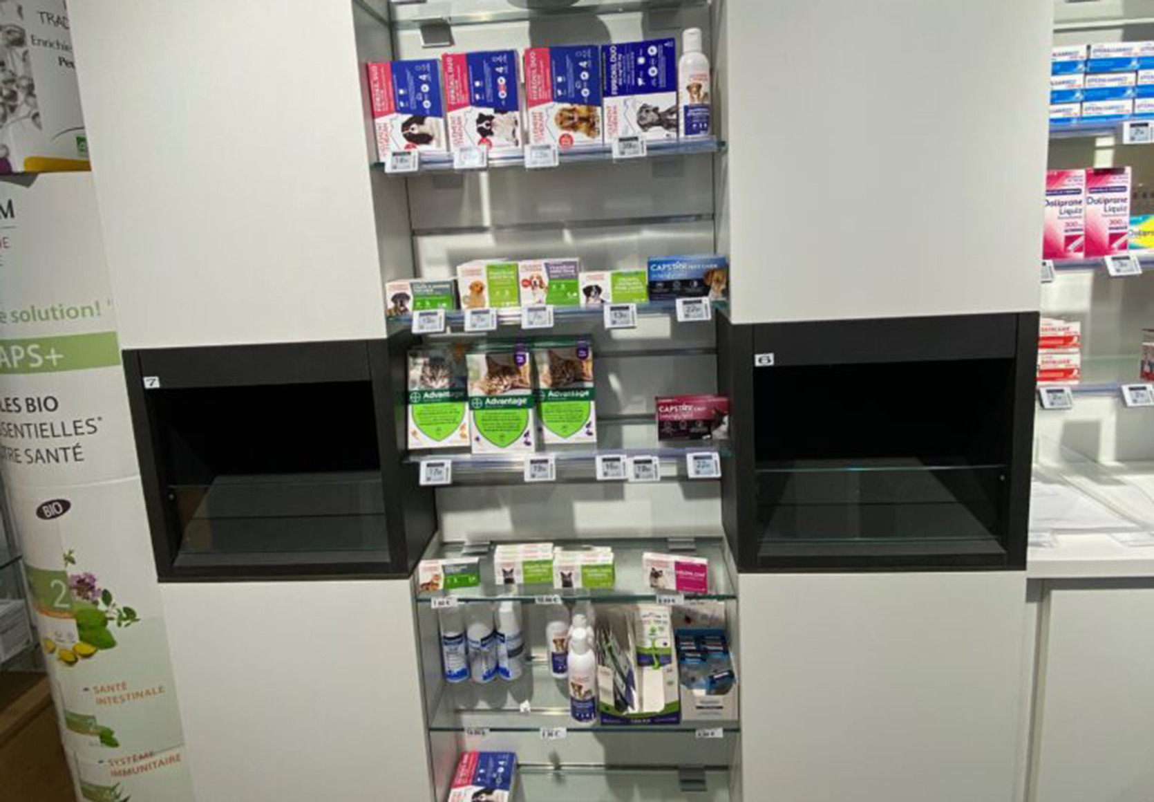 Img 1865 768x1024 cropped